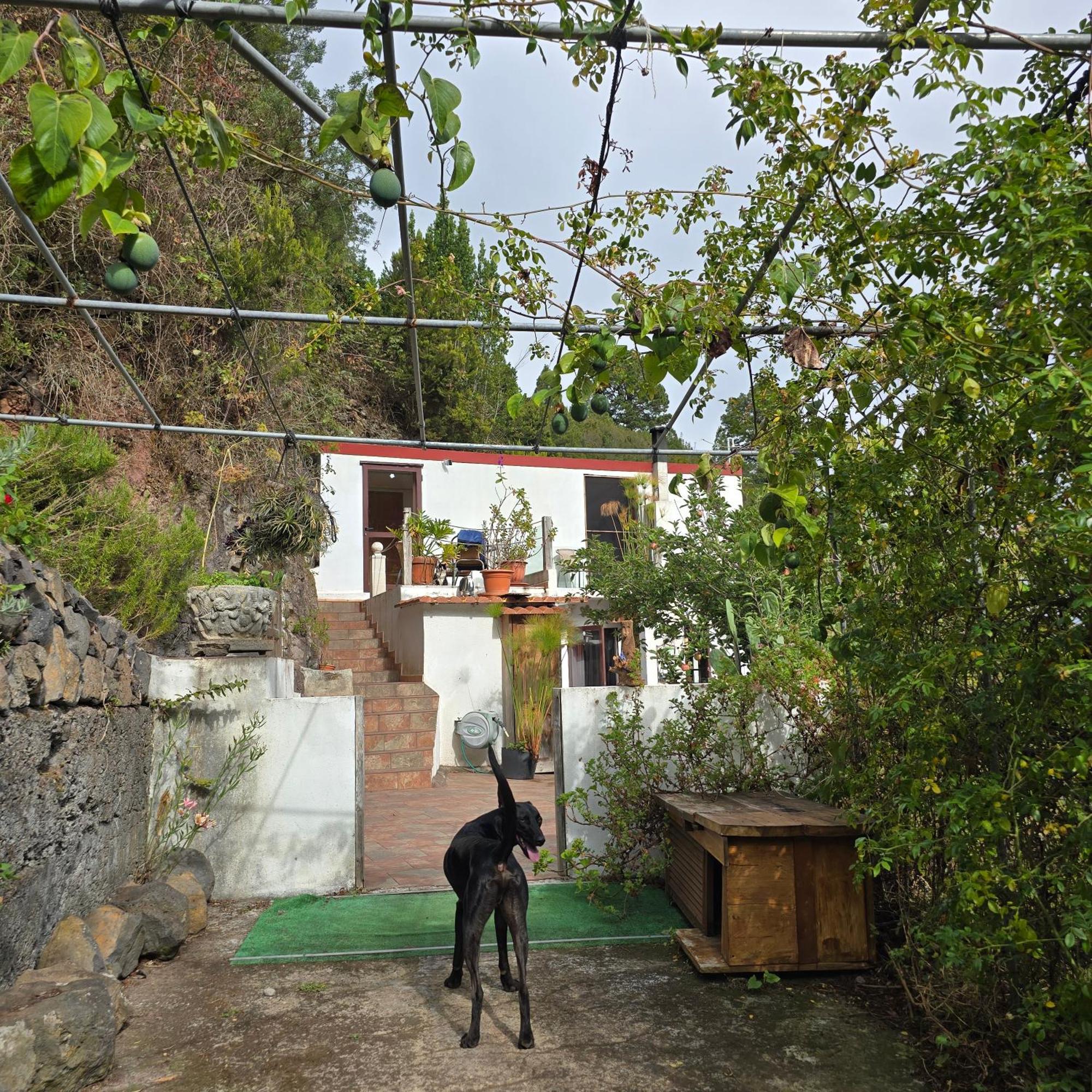 Freedom Villa El Tablado Exterior photo